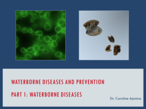 waterborne diseases lecture slide