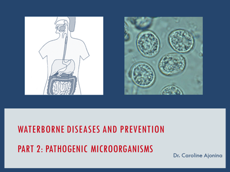 waterborne diseases lecture slide