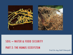 soil - water & food security part 2: the humus ecosystem