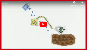 dificultad para orinar video resumen