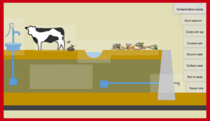Sand Dams Elements