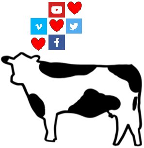 cow