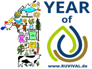 one year RUVIVAL