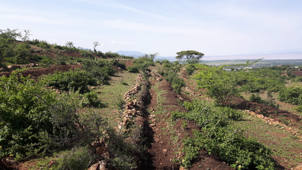 Trenches Slope Farming Project Arba Minch Ethiopia