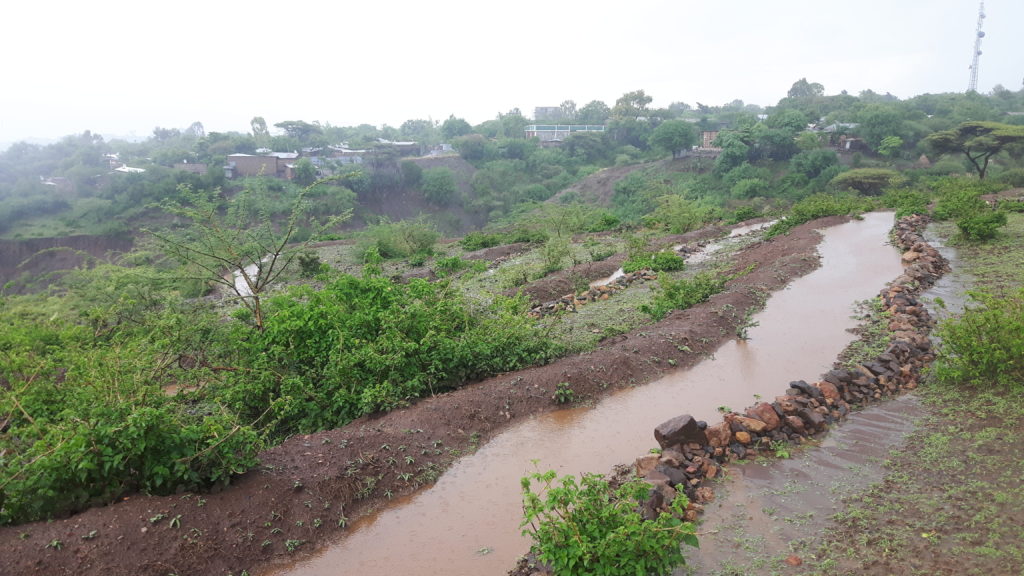 Water retained in trenches, Slope Farming Project Arba Minch Ethiopia