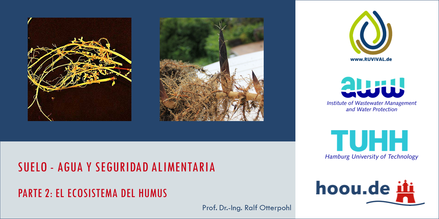 Parte 2 suelos - ecosistema humus